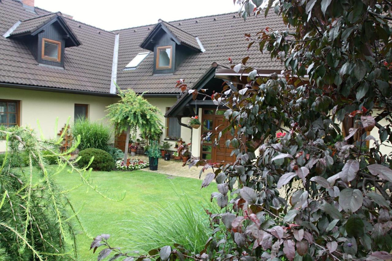 Ubytovani Zdarske Vrchy Svetnov Exterior photo